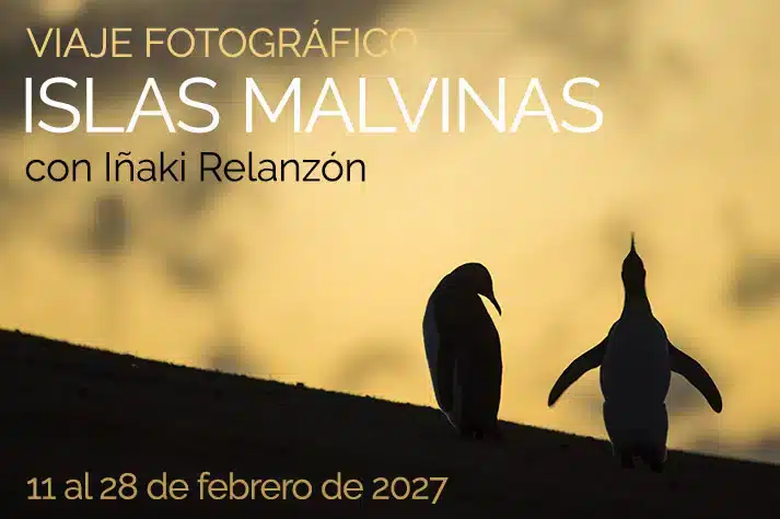 Viaje fotográfico a las Galápagos
