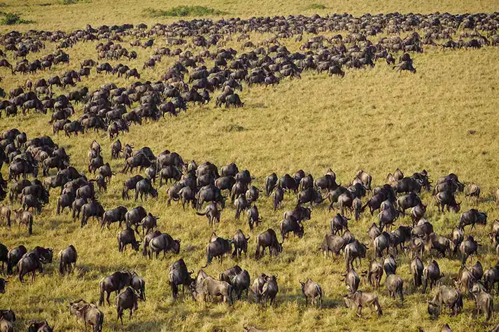 Viaje-Fotografico-Kenya-Safari-Clasico-2-3.jpg