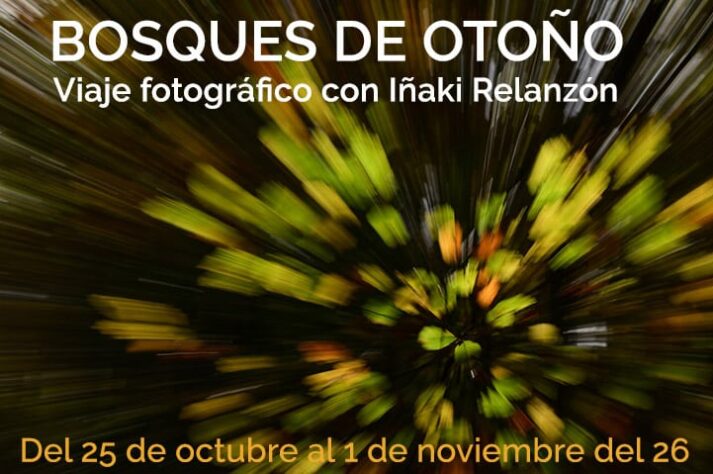Viaje fotográfico BOSQUES DE OTOÑO con Iñaki Relanzon