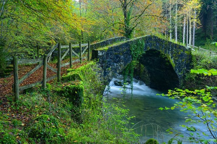 Viaje fotográfico BOSQUES DE OTOÑO con Iñaki Relanzon