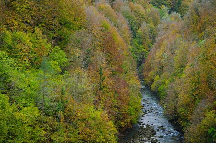 Viaje fotográfico BOSQUES DE OTOÑO con Iñaki Relanzon