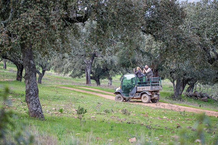 El Millarón-