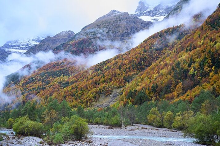Viaje fotográfico BOSQUES DE OTOÑO con Iñaki Relanzon