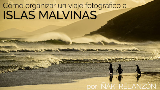 En este artículo te cuento como organizar un viaje fotográfico a las Islas Malvinas.