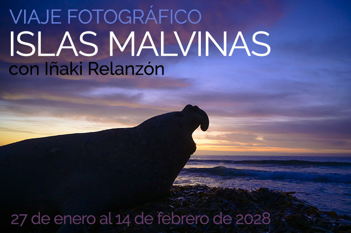 Viaje fotográfico a Malvinas 2028