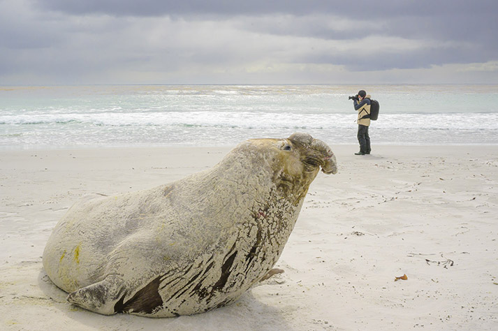 Viaje fotográfico a Malvinas 2028