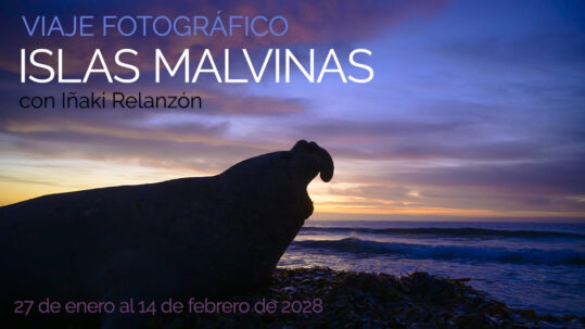 Viaje fotográfico a Malvinas 2028
