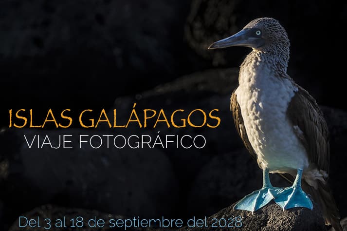 Isla Lobos (Lobos Island), west of San Cristobal. Galapagos Islands, Ecuador.