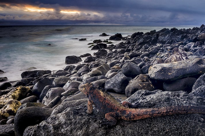 Isla Lobos (Lobos Island), west of San Cristobal. Galapagos Islands, Ecuador.