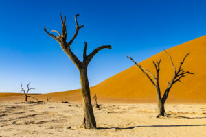 Viaje fotografico a Namibia con Iñaki Relanzon