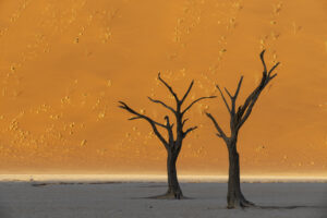 Viaje fotografico a Namibia con Iñaki Relanzon